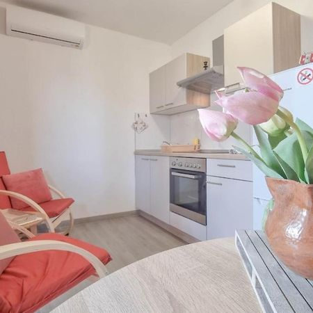 Apartament Enio Novigrad  Zewnętrze zdjęcie