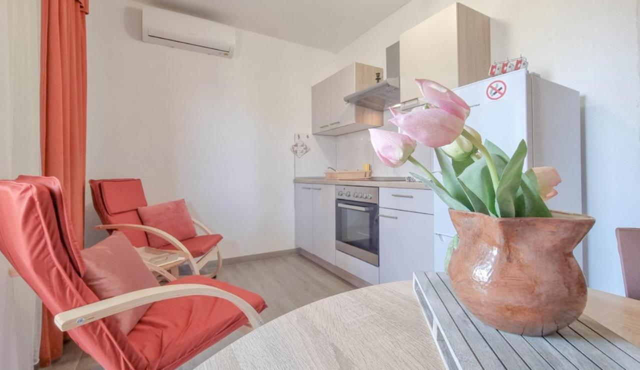 Apartament Enio Novigrad  Zewnętrze zdjęcie